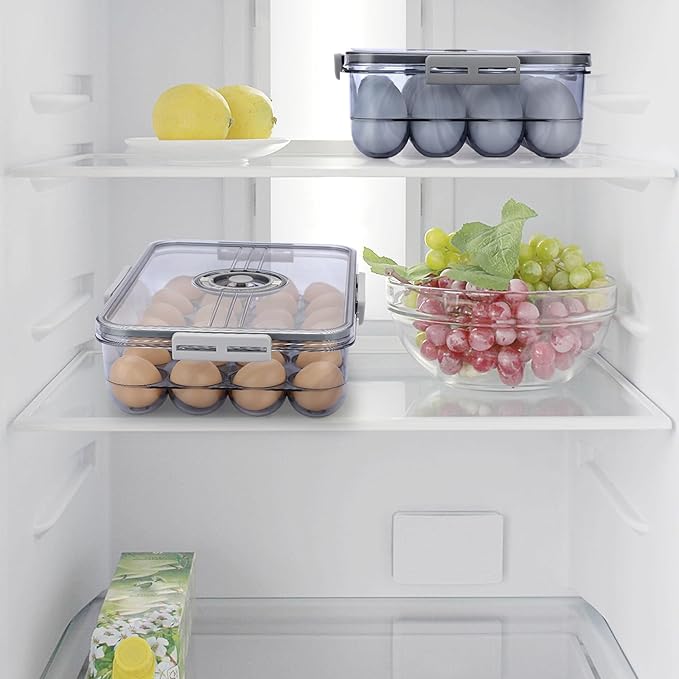 BTSKY Premium Plastic Egg Holder for Fridge - 24 Egg Refrigerator Container, Organizer with Time Reminder and Lid