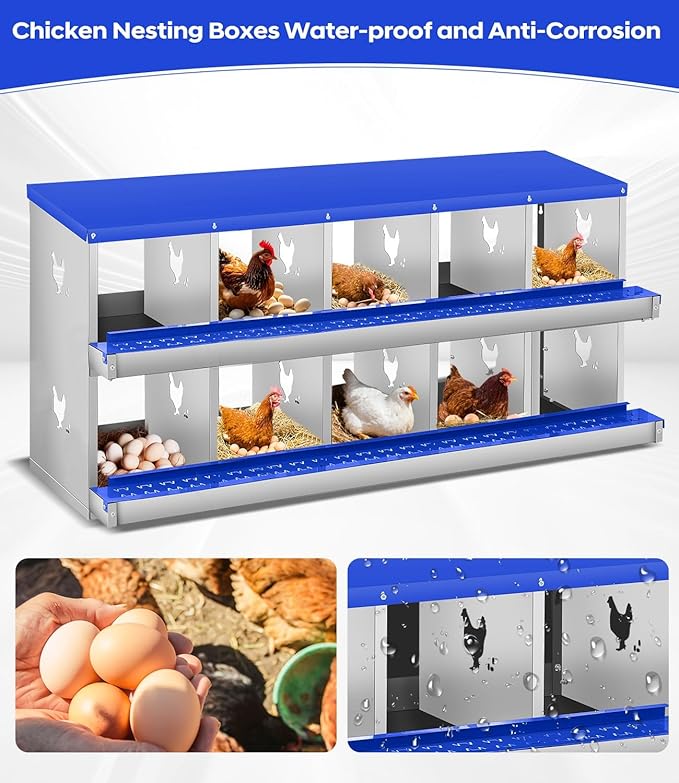 Durable Blue Poultry Nest Box - Metal Chicken Nesting Box for Small Animals - 10 Compartments, Wall Mount, Easy Egg Collection & Protection, No Legs - Blue, 10 Compartments, No Legs