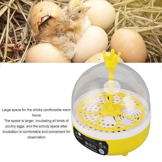 Jonlaki Egg Incubator with Automatic Temperature Humidity Control for Chickens Ducks Pigeons - Transparent Lid and Portable Design (Manual Turning)