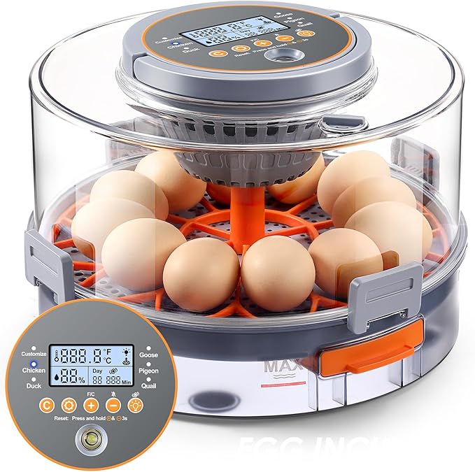 Chicken Egg Incubator 12-40 Eggs - Automatic 760° Egg Turner with Digital Display, Auto Temperature Humidity Control for Hatching Chicken Duck Quail Eggs, High Hatch Rate Poultry Incubator