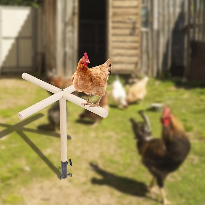 Chicken Perch Toy for Coop, Wooden Chick Perch Stand with Metal Ground Plug, Chicken Coop Backyard Poultry Accessories, Suitable for Poultry Rooster Chicks Large Bird Parrot