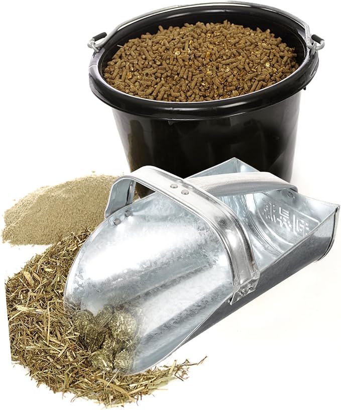 VOSAREA Large Feed Scoop Heavy Duty Farm Shovel for Livestock and Poultry Ergonomic Handle Portable and Easy to Clean for Grain Distribution