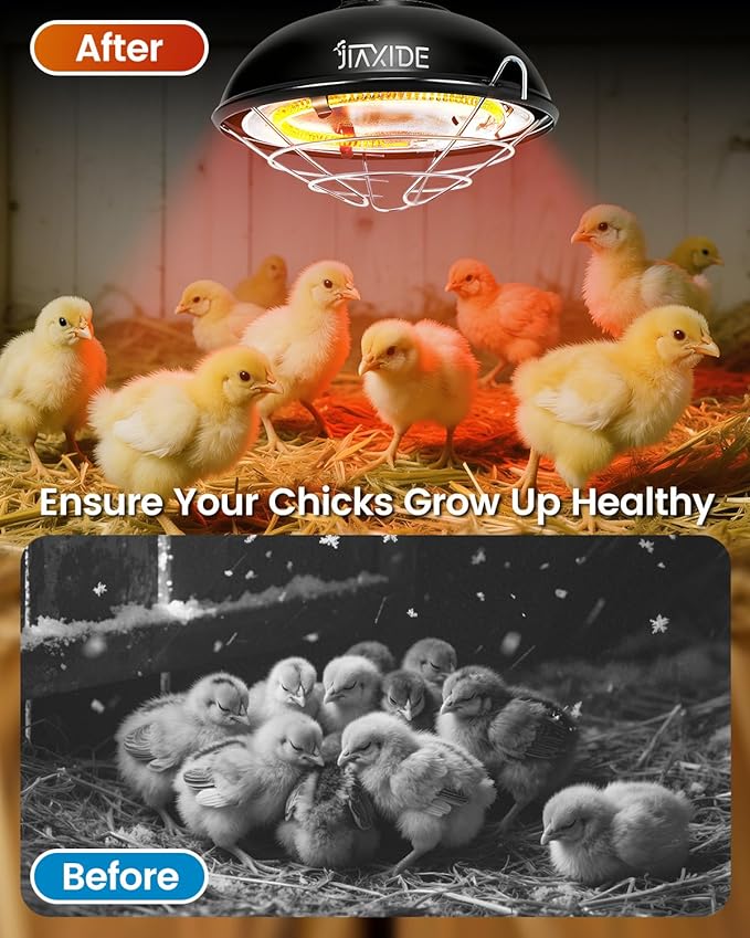 350W Dual-Mode Heat Lamp for Chickens - Long-Lasting Brooder Heater Bulb,Chick Heater with 7.87ft Cord for Chicks, Poultry & Ducklings