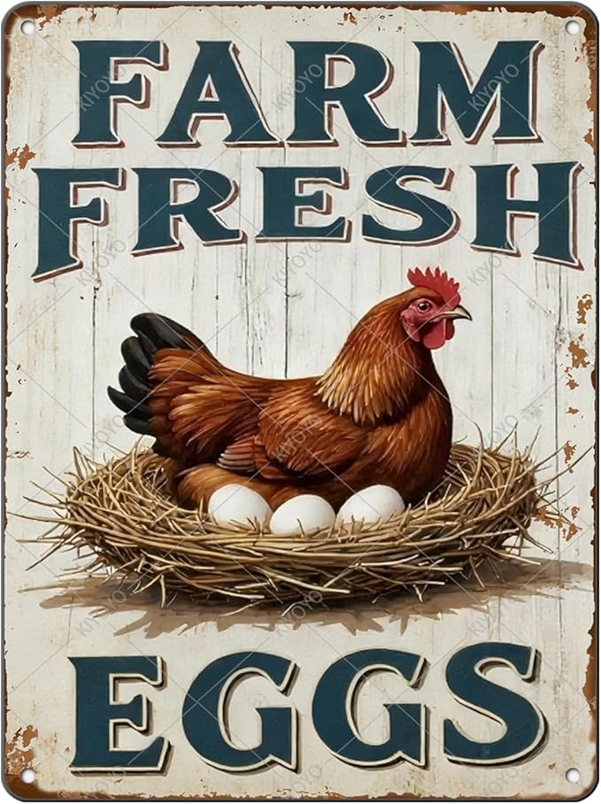 Funny Rooster Decor Vintage Farm Fresh Eggs Chicken Tin Sign for Chicken Coop Farm Garden Yard Decor 16x12 Inch