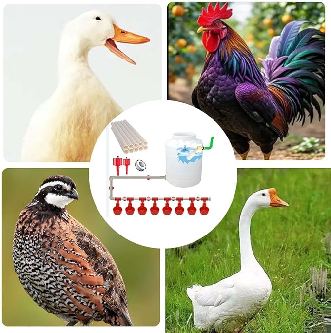 Complete Set Automatic Chicken Waterer Cups with PVC Pipe,Chickens Water Cups, Chicken Waters,Poultry Waterer,Chickens Watering System,Poultry Waterer,Durck Watering System,for quails, geese and ducks