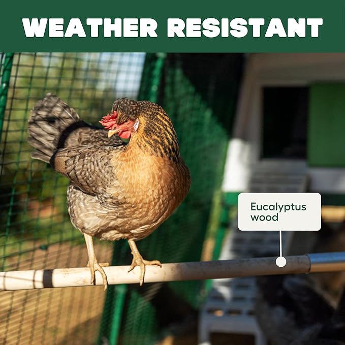 Omlet Chicken Perch | Eucalyptus Wood Roosting Bar for Poultry Runs | Weather-Resistant Outdoor Chicken Perch with Innovative Bracket Design | Fun and Durable Hen Accessory | 3ft
