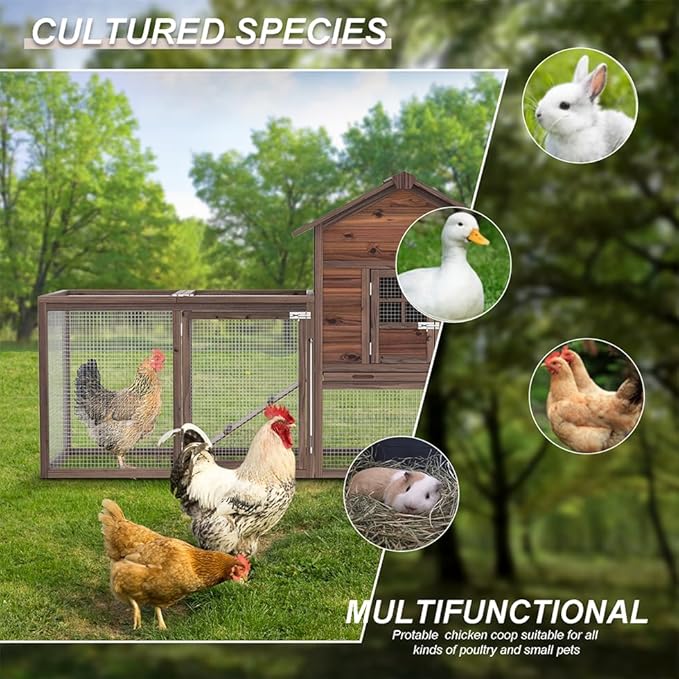 Wooden Chicken Coop, 80IN Outdoor Chicken Cages and Run with Nesting Boxes for 2-4 Chickens, Hen Run Poultry Pet House Rabbit Hutch with Waterproof Roof & Removable Tray for Backyard Poultry (ONE)