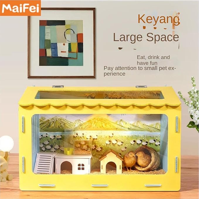 Chick Brooder Kit, 19.69x13.78 Inch Portable Observation Box, Breathable Quail Habitat with Clear Window for Indoor Raising, Hatching, Farm, Hobby