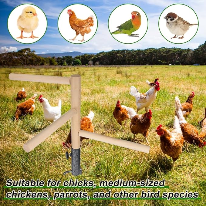 Chicken Perch Toy for Coop, Chicken Perch Stand Wooden with Metal Ground Plug, Roosting Bar for Chicken Coop Toys, Suitable for Poultry Rooster Chicks Bird Parrot