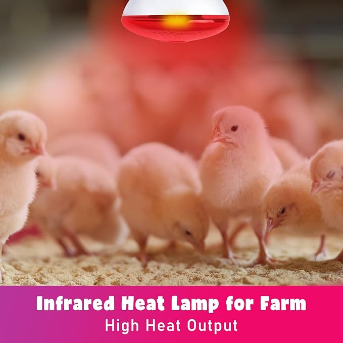 LUCKY HERP Infrared Heat Lamp for Chickens - 250 Watts Red Heat Lamp Bulb 1 Pack, Heat Light Bulb for Brooder Coop, Food Service, Chicks, Pet, Reptile