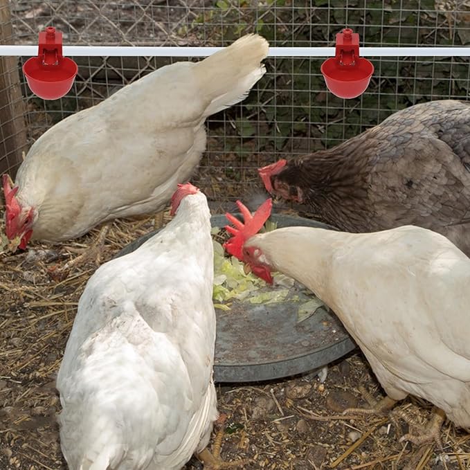 Wontee Chicken Waterer Cups 10PCS Automatic Poultry Water Feeder for Chicks Turkeys Ducks Goose Quail