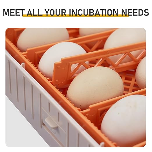 56 Egg Incubators for Hatching Eggs, Chicken Egg Incubator with Egg Candler, Automatic Egg Turning and Temperature, Humidity Control, Egg Hatcher Incubator for Chickens, Ducks, Geese, Birds and Quail