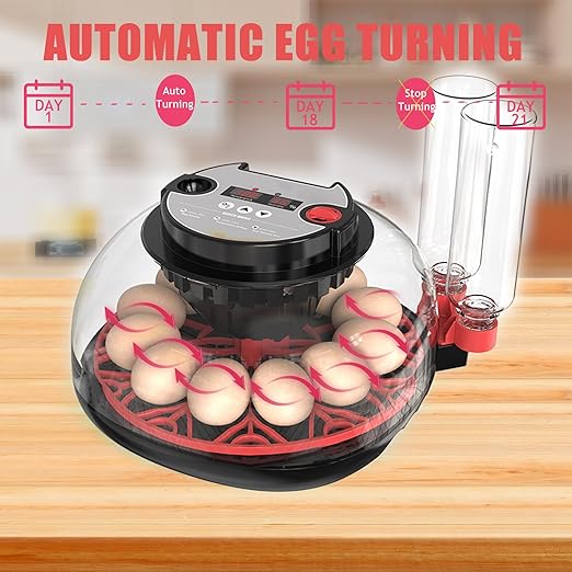 Incubators for Hatching Eggs, 12 Egg Incubator with Automatic Egg Turning and Humidity Control, 360° View Incubadora De Huevos De Gallina, Egg Candler, Incubator for Chicken Eggs, Ducks, Goose, Quail
