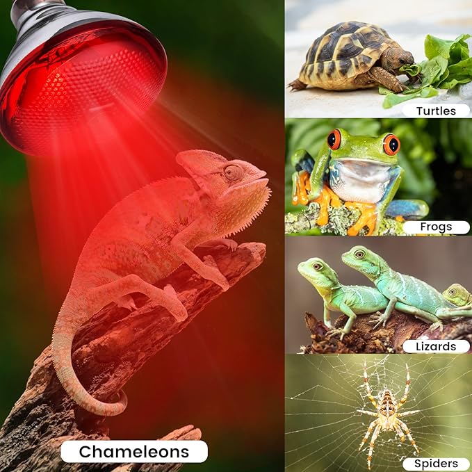 Heat Lamp for Chickens Coop Brooder and Reptile Heat Bulb 150 Watt Infrared Red Light