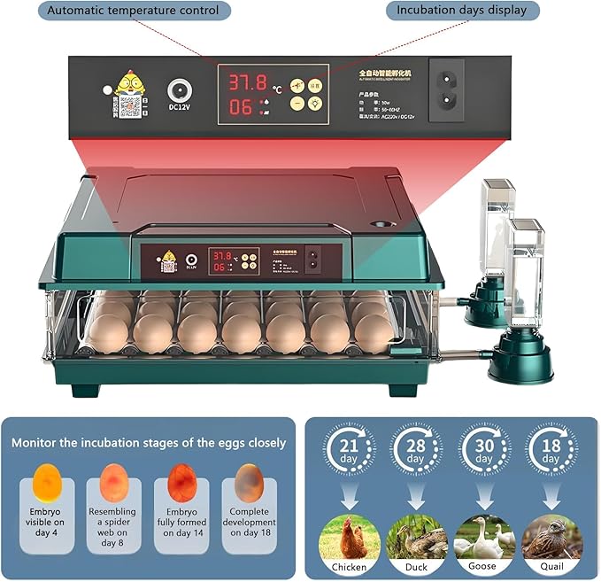 Adjustable Egg Incubators with Automatic Turning and Humidity Control, with Digital Display, for Hatching Eggs Include Chicken Duck Quail