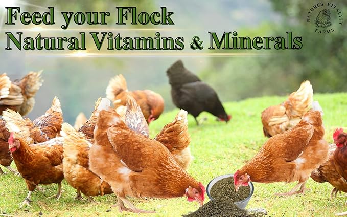 Kelp Meal Feed for Chickens and Ducks (15 oz) Vitamin Supplement
