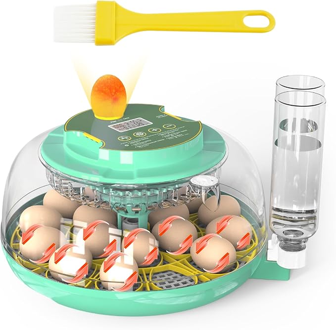 18 Egg Incubator with Automatic Egg Turning and Humidity Control,Chicken Egg Incubator, Large View Incubator for Chicken Duck Quail Eggs, External Water Refill, Egg Candler