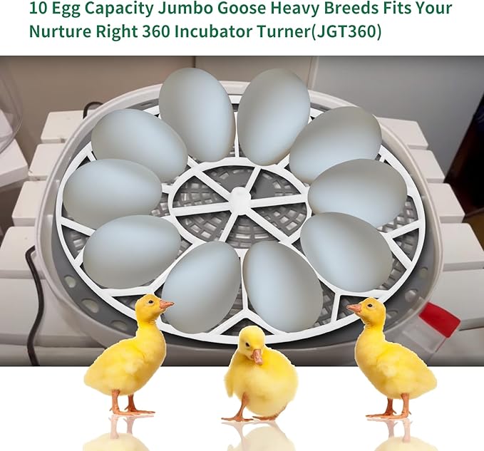 10 Egg Capacity Jumbo Goose Heavy Breeds Tray Fits Nurture Right 360 Incubator Turner, White (JGT360)
