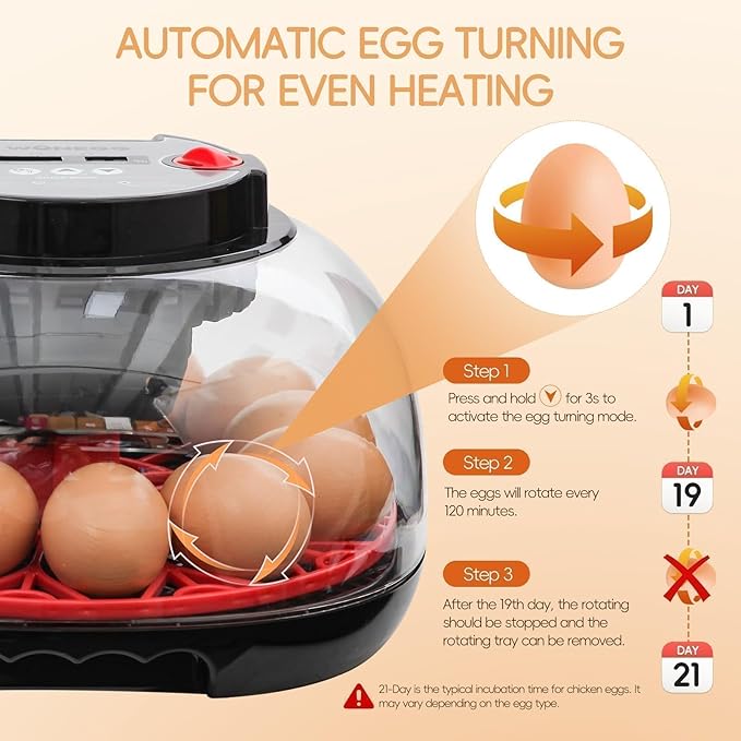 Series II - 12 Egg Automatic Incubator for Beginners, Smart Adaptive Humidity (Dual-Bottle) & Auto Temp Control, Auto Egg Turn, Real-Time Display, Candler, 360° View for Hatching Poultry Eggs