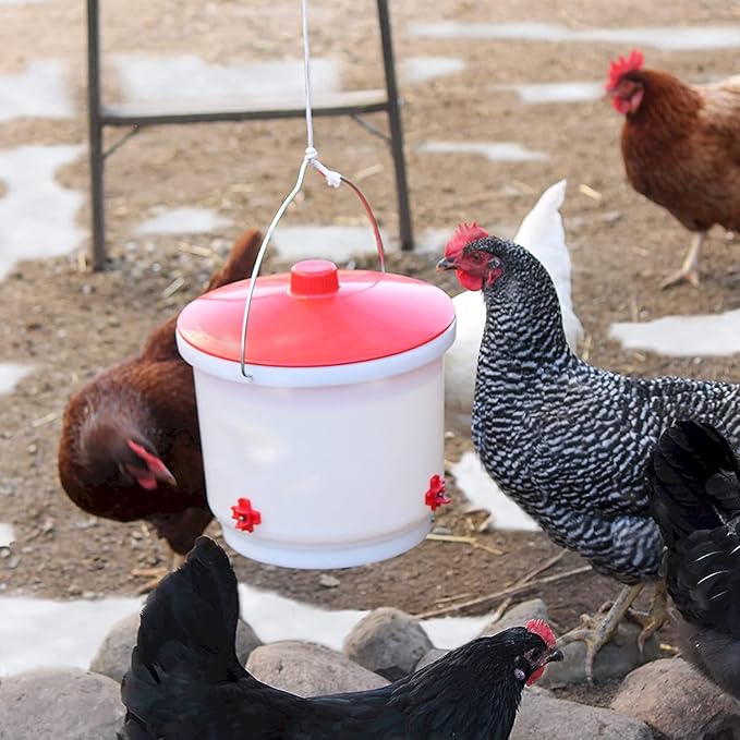 Farm Innovators Heated Waterer with Lid, 60W Hanging Water Dispenser - 2 Gallon Poultry Drinker Bucket with Red Top for Chickens, Turkeys, and Geese