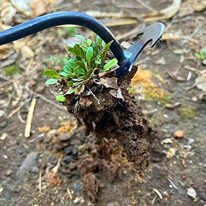 Weed Puller Tool, Weeding Artifact Uprooting Weeding Tool, Garden Weeder Tool 4 Teeth Manganese Steel Forged, Weed Master Weeding Tool, Weed Removal Tool for Vegetable Backyard Farm (Black-30cm)