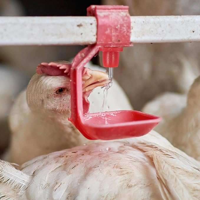 20pcs Automatic Chicken Waterer Nipples with Spring Head Poultry Water Drinker for Farm and Backyard Use Sturdy Chicken Water Feeding System for Quail