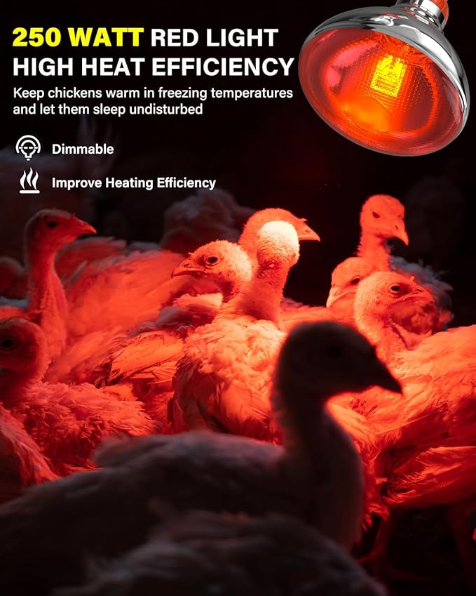 Heat Lamp Bulbs for Chickens Coop Brooder,250 Watt Reptile Heat Lamp Bulb Infrared Red Light for Chicks,Birds,Ducks,Dogs,Cats (Heating Lamp Not Included)