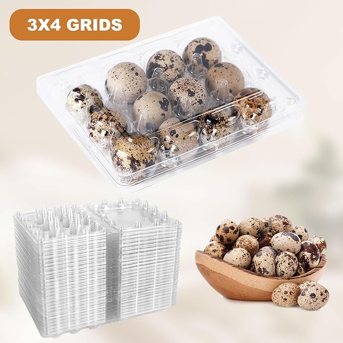 SENENQU 150 Pack 12 Grids Clear Quail Egg Carton Cheap Bulk, Small Plastic Quail Egg Storage Holder with Lid, Reusable Mini Quails Eggs Dispenser Holder Case for Small Pheasant Pigeon Egges
