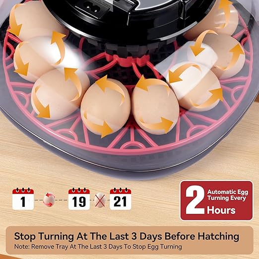 12 Egg Incubators for Hatching Eggs, Chicken Egg Incubator with Automatic Egg Turning and Temperature Humidity Control, 360° Clear View Lid or Home, Farm, Classroom, Hatching Chicken, Duck,Quail,Goose