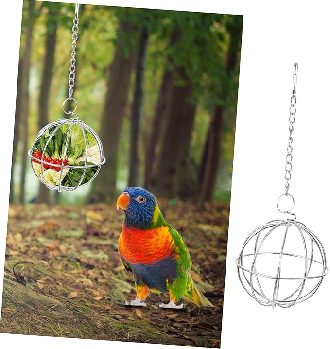 Hanging Stainless Steel Chicken Feeder Holder 2Pcs Ball Shape Poultry Vegetable Treats Feeders for Chickens and Chicks