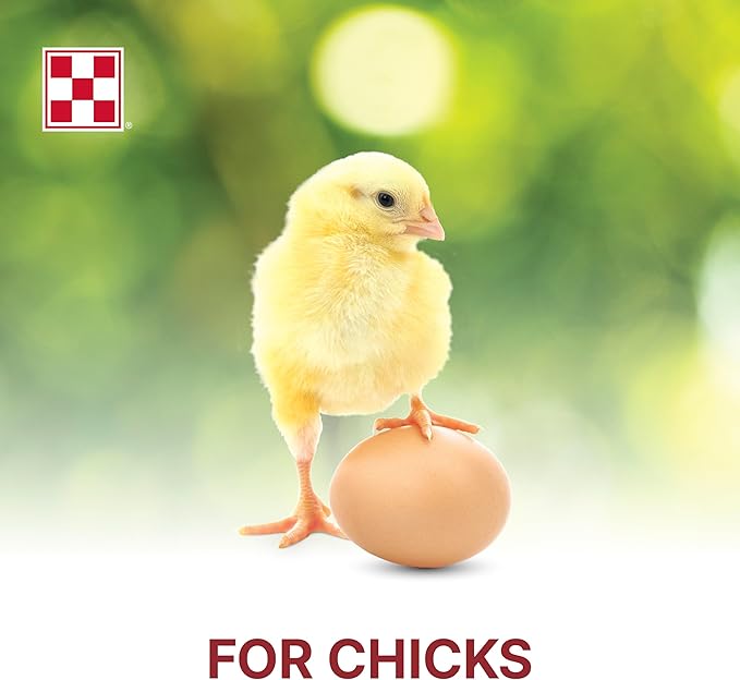 Purina Start & Grow | Nutritionally Complete Medicated Chick Feed Crumbles | 25 Pound (25 lb.) Bag