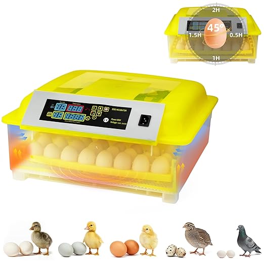 Egg Incubator for Hatching Eggs, Automatic Egg Turner & Digital Humidity Control, 56 Egg Capacity, Clear Temperature Display, Externa, 360° Clear Viewing for Poultry, Ducks, Quail (48-56 Eggs)