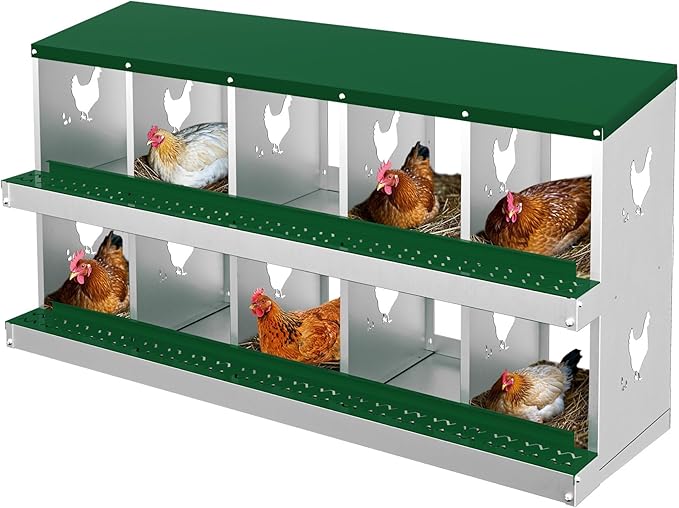 Chicken Nesting Boxes for Hens - 10 Compartments Roll Away Chicken Laying Boxes with Sturdy Metal Legs & Protective Lid Cover, Durable Galvanized Steel Construction, Easy Clean Design