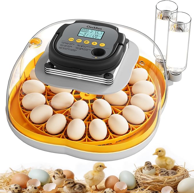 25 Egg Incubator, Temperature & Humidity Control, Programmable Automatic Egg Turning & Auto Stop, Settable Incubation Period, Egg Candler, Auto Water Refill, Air Vent, Hatching Chicken, Duck, Quail