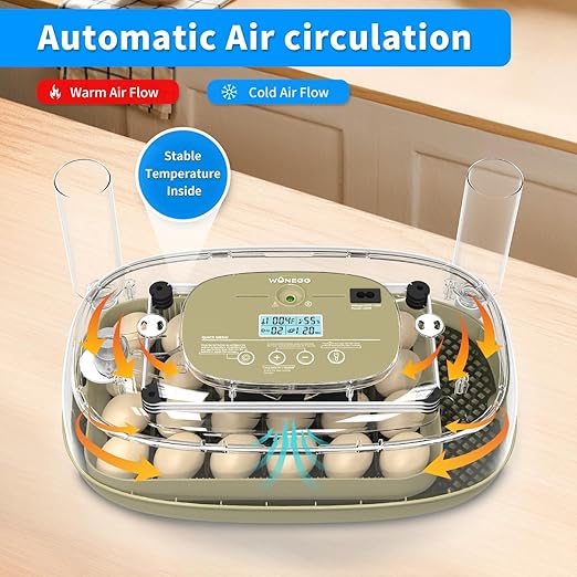 Incubator for Hatching Eggs,Automatic Turning,Temperature and Humidity Control Display, 360° Viewing for Chicken, Duck, Quail Eggs, Perfect for Farm, Classroom, Home Use,24 Egg Incubators