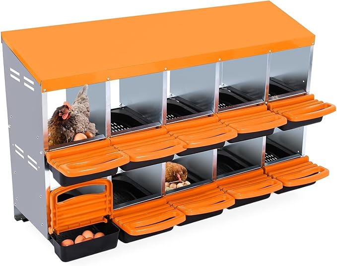 Two-Tier Chicken Nesting Box, 10 Hole Metal Chicken Egg Laying Box with Swing Perch and Rollout Egg Collection Applicable to Coops and Duck Houses Orange.