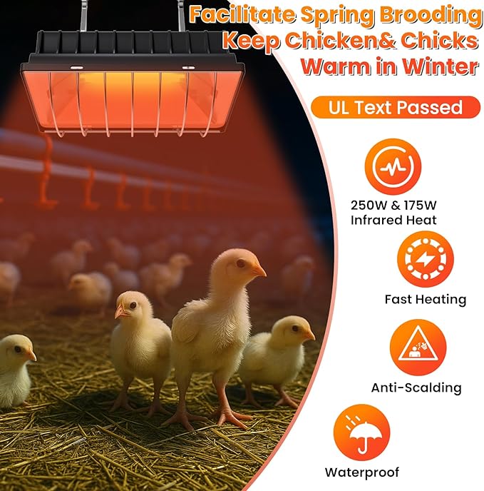 Heat Lamp for Chickens, Coop Heater for Chicks with 2pcs Heating Bulbs (250W&175W), Adjustable Temp.& Hanging Heights, Brooder Heater for Indoor Outdoor Use in Livestock Supplies (1, Black)