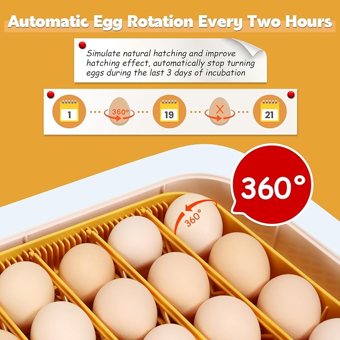 Sailnovo Incubators for Hatching Eggs 56 Egg Incubator with Auto Egg Turning and Auto Humidification, Temperature Control, Incubator for Chicken Duck Quail Eggs, Perfect for Lab School Farm