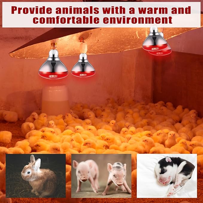 VIHOSE 2 Pack Infrared Heat Lamp for Chickens 250watt 120v Thickened Red Heat Lamp Bulbs for Food Service, Reptile, Pet, Bathroom, Light Therapy Use E26 Base