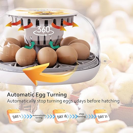 Egg Incubators for Hatching Eggs, 12 Egg Incubator Automatic Turner Humidity Control Egg Encabulator for Chicken, 360° Clear Window Incubator for Chicken Eggs, Duck, Quails, Goose Eggs