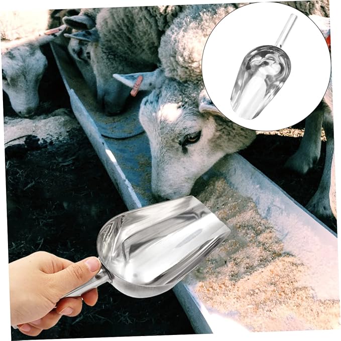 Scoops for Food Stainless Steel Feeding Scoop for Livestock Grain,Feed Distribution 12-Inch Food Serving Easy to Clean for Farm Feeding and Pet