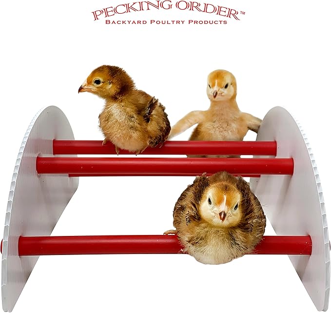 Pecking Order 9590 N-Play Chick brooder Accessory, Red