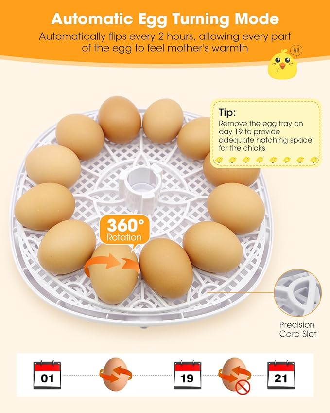 Incubators for Hatching Eggs, Chicken Waterer Cups, Automatic Egg Turner Holds 12 Eggs, Smart Incubator 360° Clear Window with Temperature Display Egg Candler for Small Poultry Chickens Ducks Quails