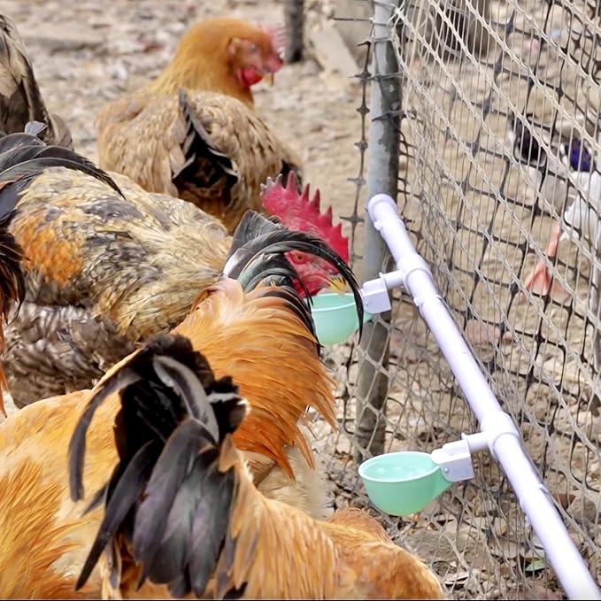 8PC Chicken Water Cups with PVC Tee Fittings for 1/2" Pipe, Automatic Chicken Watering System, Anti-Leak, Holds 50% More Water, Suitable for Chicks, Chicken, Duck, Quail, Birds, Turkey