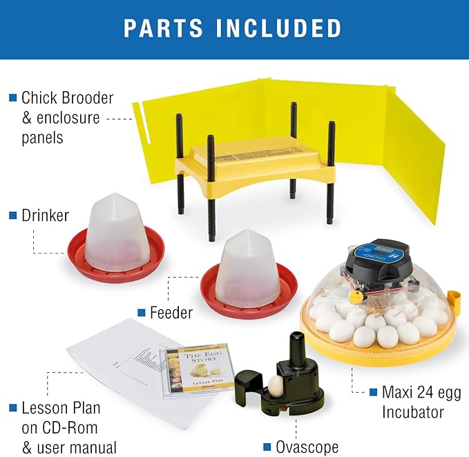 Brinsea Maxi 24 Advance Egg Incubator Classroom Kit Brooder Pack for Students with Lesson Plan, Egg Scope, EcoGlow Brooder, Plastic Chick Enclosure, Feeder and Drinker for Hatching Chicks, Ducklings