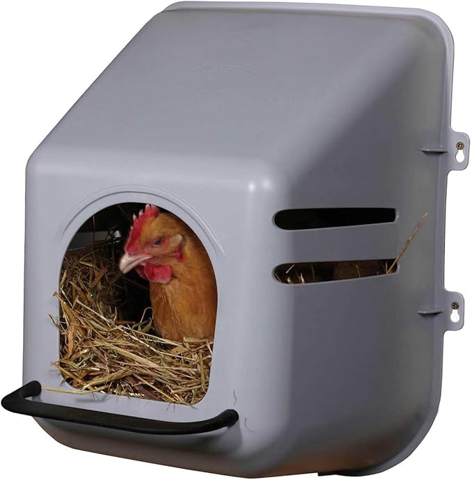 Miller 2 Pack of Large Wall Mount Egg Nesting NEST Boxes with Perch for Chicken COOP Hen House Poultry