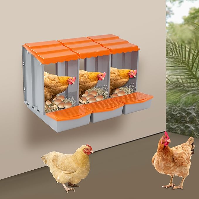 Chicken Nesting Box, 5 Compartments Laying Boxes for Hens, Nest Box for Chicken Duck Poultry Coop, Wall Mount Chickens Roosting Boxes, Protect Collect Egg (Orange)