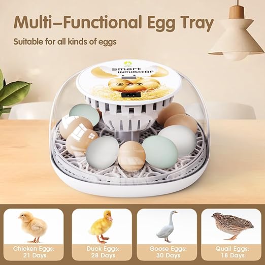 Egg Incubators for Hatching Eggs Chicken Eggs Incubator for Hatching Eggs Incubator with Automatic Egg Turner and Temperature Control for Chicken, Duck, Quail 12 Eggs