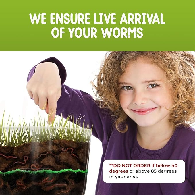 Worm Farm for Kids Shipped with Live Worms - Observation Kit with Ecosystem, Soil Mixing Sand, Magnifying Glass & More from Nature Gift Store