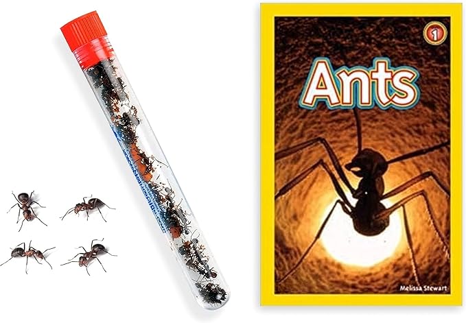 Live Ant Farm Ants (1 Tube of Ants) Plus Ant Book